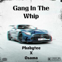 Album cover of Gang In The Whip (feat. Osama)
