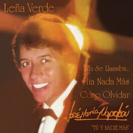 Album cover of Leña Verde