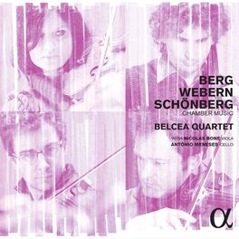 Album cover of Berg, Webern & Schönberg: Chamber Music
