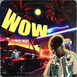 Album cover of Wow