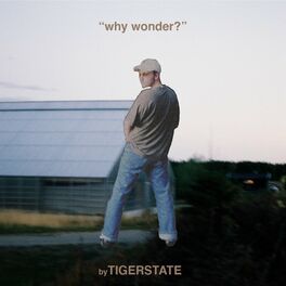 Album cover of why wonder?