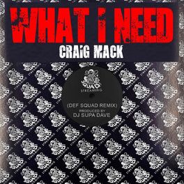 Album cover of What I Need Remix