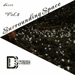Album cover of Surrounding Space, Vol. 5