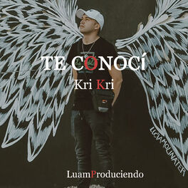 Album picture of Te Conocí