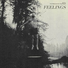 Album cover of feelings (acoustic)