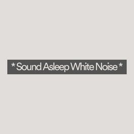 Album cover of * Sound Asleep White Noise *