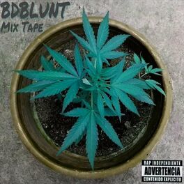 Album cover of BDBLUNT