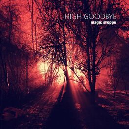 Album cover of High Goodbye