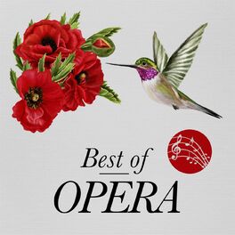 Album cover of Best of Opera