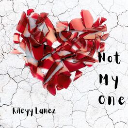 Album cover of Not My One