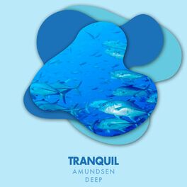 Album cover of Tranquil Amundsen Deep