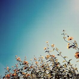 Album cover of Blue Sky