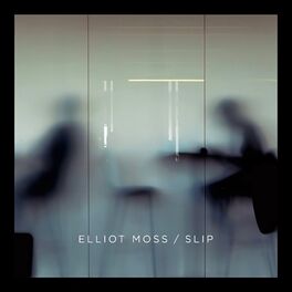 Album cover of Slip