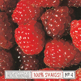 Album cover of 100% Svaigs, Vol.4