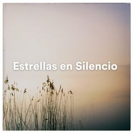 Album cover of Estrellas en Silencio