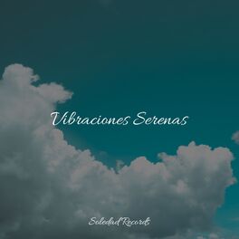 Album cover of Vibraciones Serenas