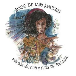 Album cover of Amor De Mis Amores