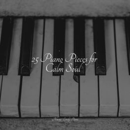 Album cover of 25 Piano Pieces for Calm Soul