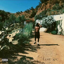 Album cover of Lost Ape