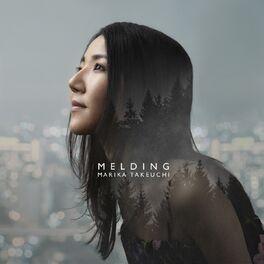 Album cover of Melding
