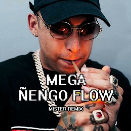 Album cover of Mega Ñengo Flow