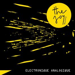 Album cover of Electronique analogique