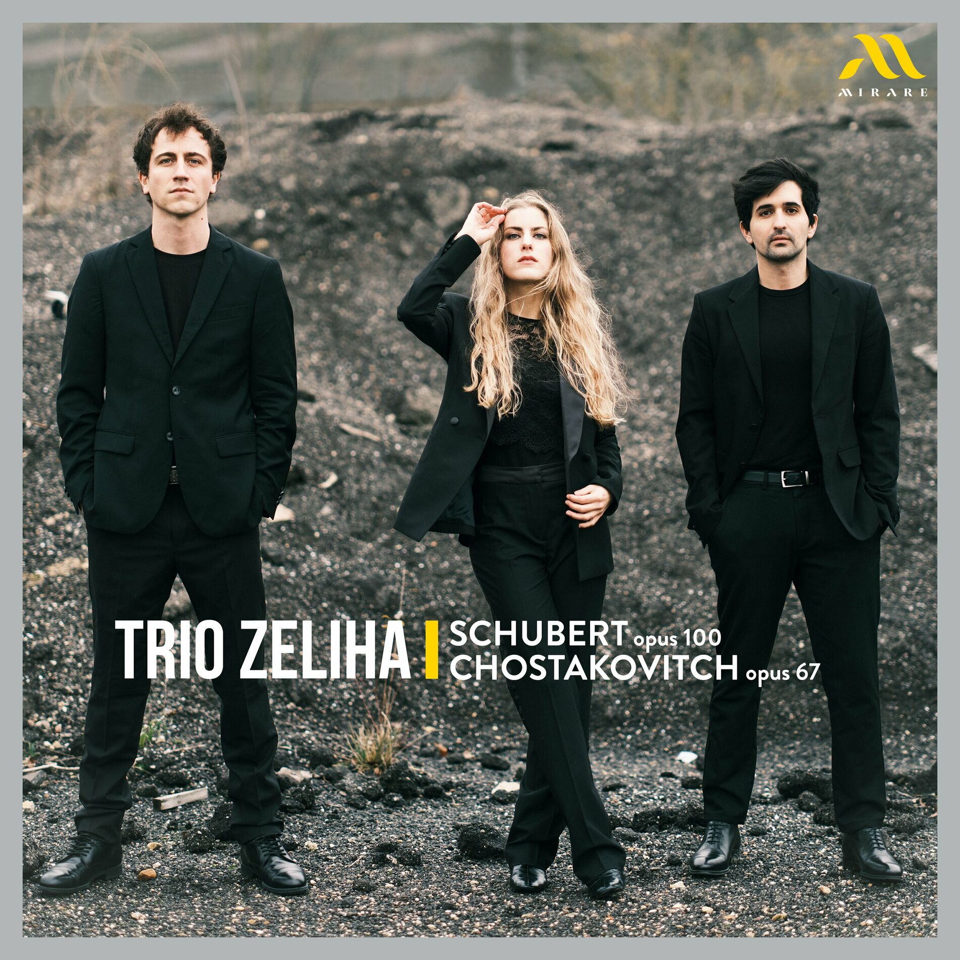 Trio Zeliha - Schubert: Piano Trio in E-Flat Major, D. 929, Op. 100: II.  Andante con moto: тексты и песни | Deezer