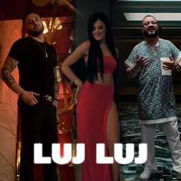 Album cover of Luj Luj