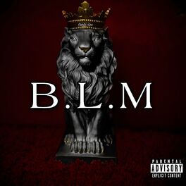 Album cover of B.L.M