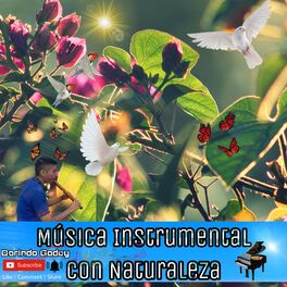 Album cover of Momentos de paz