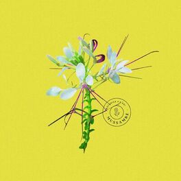 Album cover of Brunches