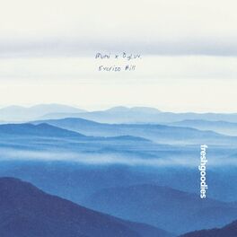 Album cover of Everitt Hill