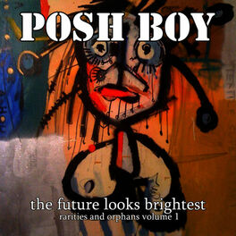 Album cover of The Future Looks Brightest - Rarities and Orphans Volume 1