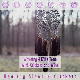 Album cover of Waveing 417hz Tone with Crickets and Wind