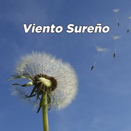 Album cover of Viento Sureño