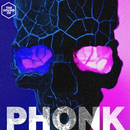 Album cover of Phonk Music 2023