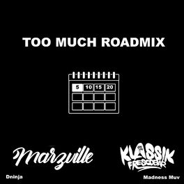 Album cover of Too Much Roadmix