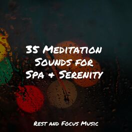 Album cover of Calm Melodies to Meditate
