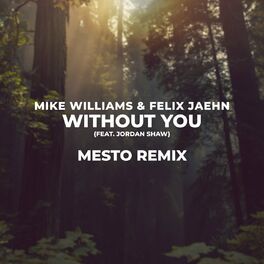 Album cover of Without You (Mesto Remix)