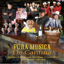 Album cover of PURA MUSICA DE CANTINA