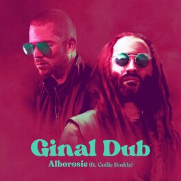 Album cover of Ginal Dub (feat. Collie Buddz)
