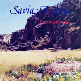 Album cover of Instrumental | de Colección