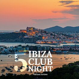 Album cover of Ibiza Club Night 5