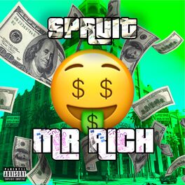 Album cover of Mr. Rich