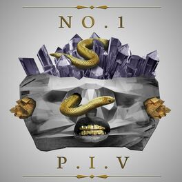 Album picture of P.I.V