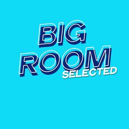 Album cover of Big Room Selected