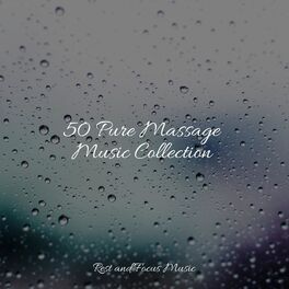 Album cover of 50 Pure Massage Music Collection