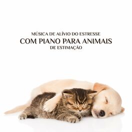Album cover of Música de Alívio do Estresse com Piano para Animais de Estimação: Cura para a Insônia para Cães e Gatos