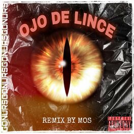 Album cover of Ojo De Lince
