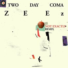 Album cover of Not Exactly (Zeez Remix)